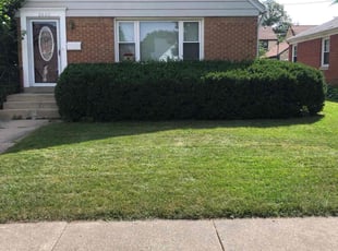 Bush Trimming by John McCardle for Jack N. in Wauwatosa, WI