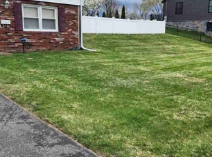 Rahul S.'s Lawn Service service result