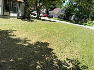 Bush Trimming by Kaacine Whipset for Jeanette S. in Jacksonville, AR