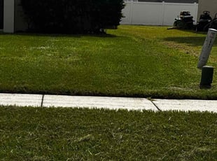Chandra M.'s Lawn Service service result