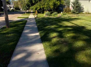 Michael C.'s Lawn Care service result