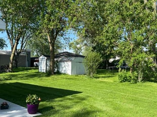 Brian N.'s Lawn Service service result