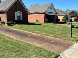Seatrice C.'s Lawn Service service result