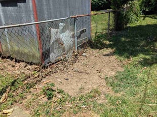 Cleanups by Christopher Heiser for Felancie Z. in East Norriton, PA