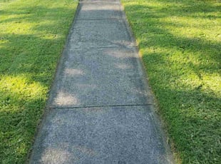 Nicholas H.'s Lawn Maintenance service result