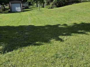 Wilma T.'s Lawn Mowing Service service result