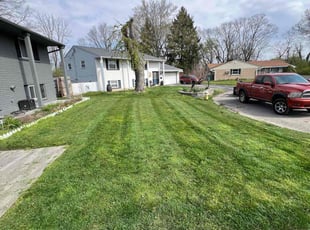 Mark M.'s Grass Cutting service result