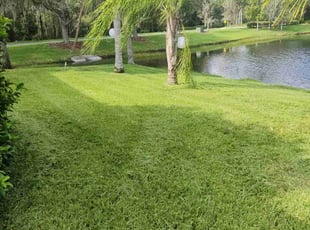 Joyce B.'s Lawn Mowing Service service result