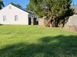 Lorraine C.'s Lawn Care service result