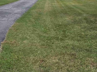Jeff C.'s Lawn Care service result