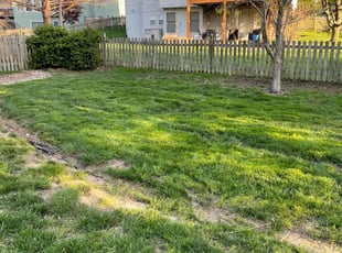 Cleanups by Brett Dechant for Gerry L. in Shawnee, KS
