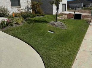 Sarah H.'s Lawn Care service result