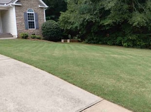 Rahmel M.'s Lawn Mowing service result
