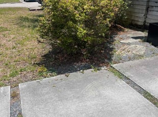 Bush Trimming by Josue Nunez for Amanda P. in Orlando, FL