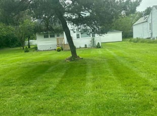 GLENN D.'s Lawn Mowing Service service result