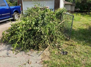 Leaf Removal by MacKenzie Shufelt for John P. in Des Moines, IA