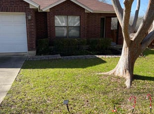 Bush Trimming by Gabriel Sosa for Corinna C. in San Antonio, TX