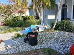Weeding by sergio beltran for Amber R. in Palm Harbor, FL