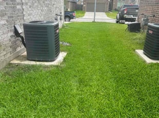 Megan S.'s Lawn Care service result
