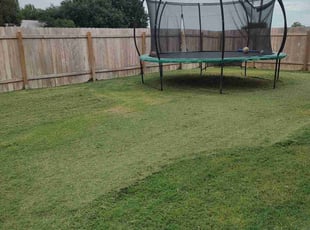 Elizabeth M.'s Lawn Service service result