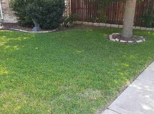 Michael D.'s Lawn Mowing service result