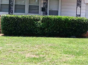 Bush Trimming by Joshua Mcinturff for Daniel p. in Oklahoma City, OK
