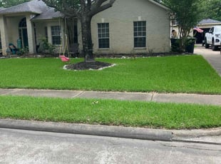 Marco S.'s Lawn Service service result