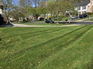 David C.'s Lawn Maintenance service result