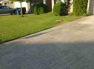 Olivia T.'s Lawn Care service result