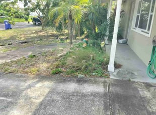 Weeding by Stephen Peffly for Tara A. in Saint Petersburg, FL