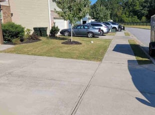Alan C.'s Lawn Service service result