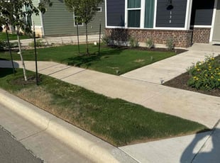 Carly J.'s Lawn Care service result