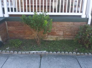 Landscaping by Dennis Joyner for ReTrina T. in Washington, DC