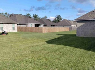 Rachelle H.'s Lawn Care service result