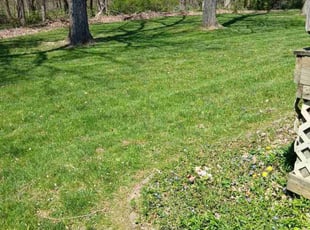 Jacob B.'s Lawn Maintenance service result