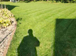 Hal P.'s Yard Cutting service result