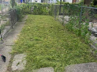 James J.'s Lawn Mowing service result