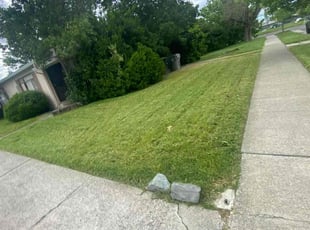 Christopher F.'s Yard Cutting service result