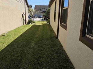 Taylor D.'s Lawn Mowing service result