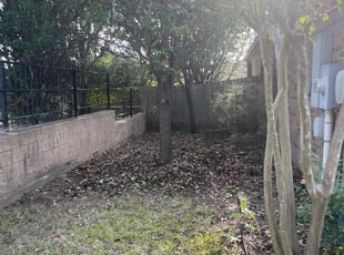Bush Trimming by Michael Hayes for Neil S. in Austin, TX