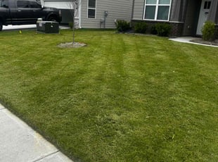 Jacqueline M.'s Lawn Service service result