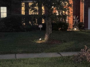 Bush Trimming by Ashley Bass for Todd T. in Pearland, TX