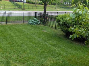 Matt H.'s Lawn Mowing service result