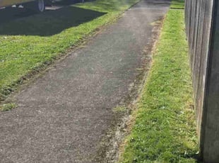 Luis C.'s Lawn Mowing Service service result