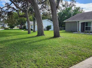 Christine C.'s Grass Cutting service result