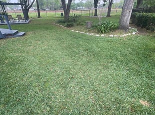 Rhonda B.'s Lawn Mowing Service service result