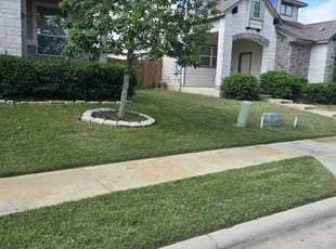 Nancy S.'s Lawn Mowing service result