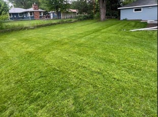 Sharon R.'s Yard Cutting service result