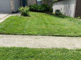 Susan D.'s Lawn Care service result