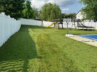 Paul E.'s Lawn Mowing service result